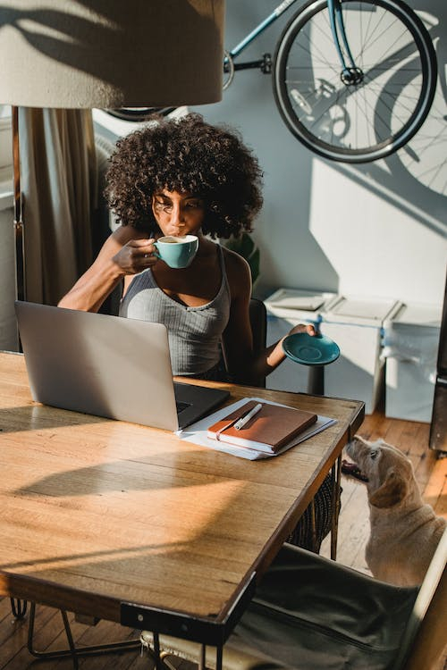Illustrative photo: a person works from home, working at a table with laptop, sipping from a cup, bicycle hung on the wall behind, and a dog looking up at them